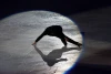 Stéphane Lambiel "Last Dance"